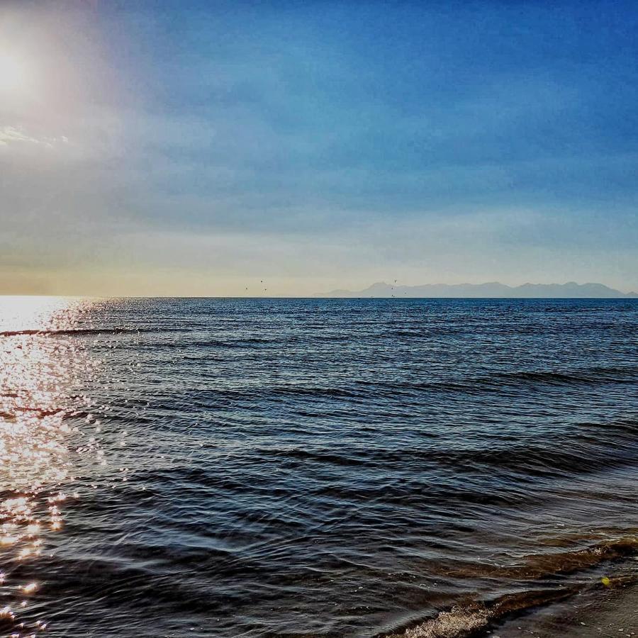 Two-Room Apartment,1306492399:JPEG